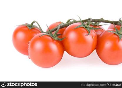 Ripe tomatoes on the green branch.