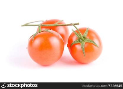 Ripe tomatoes on the green branch.