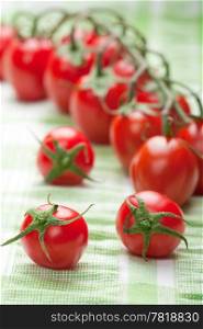 ripe tomatoes over green