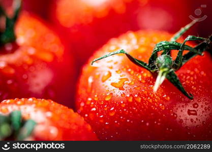Ripe tomatoes with drops of water. Macro background. High quality photo. Ripe tomatoes with drops of water.