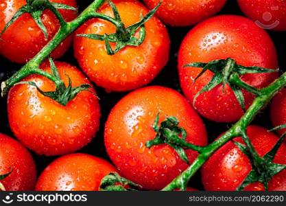 Ripe tomatoes with drops of water. Macro background. High quality photo. Ripe tomatoes with drops of water.