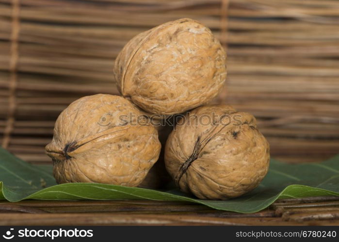 Ripe walnuts. Studio shot