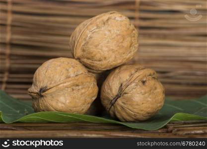Ripe walnuts. Studio shot