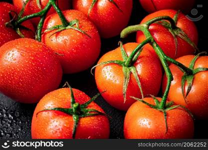 Ripe wet tomatoes on a branch. Against a dark background. High quality photo. Ripe wet tomatoes on a branch.