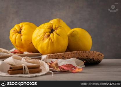 Ripe whole quinces. Fresh fruit for preparing recipes with cinnamon and lemon. An essential ingredient for a healthy diet