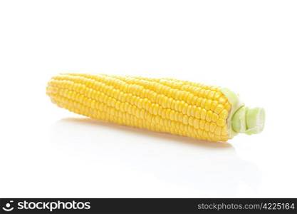 ripe yellow corn isolated on white