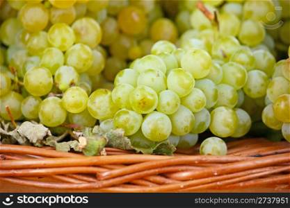 Ripe yellow grapes in a woven basket