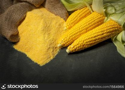 Ripe young sweet corn cob,on left stack cornmeal on dark background, copy space.Gluten free food concept
