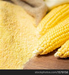 Ripe young sweet corn cob,on stack cornmeal on wooden background,close up.Gluten free food concept