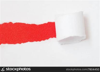 Ripped paper on red background. Ripped paper