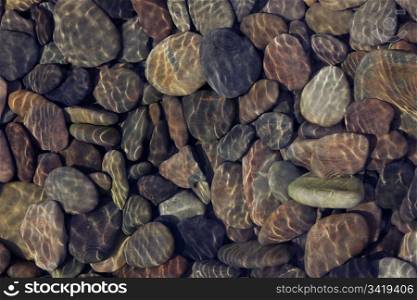 Ripple patterns reflect light on shallow flowing clear water over pebbles