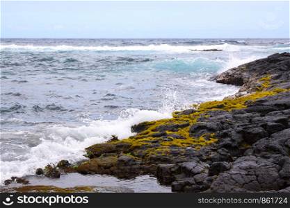 Ripples on sea coast lava rocks covered with moss