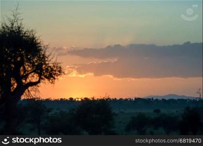 Rise of mist on the savanna . Rise of mist on the savanna and mountains of Tsavo West Park in Kenya