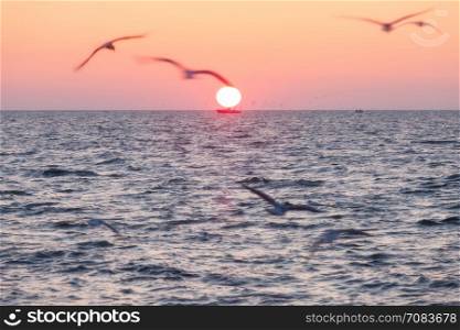 Rising sun above the sea with seagulls
