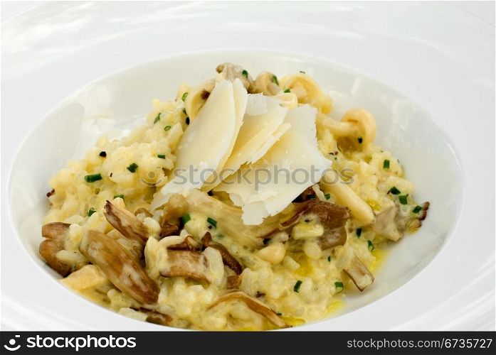 Risotto of Mittagong Mushrooms, with Cream, Truffle Oil, and topped with shaved Parmesan