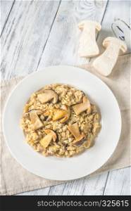 Risotto with porcini mushrooms