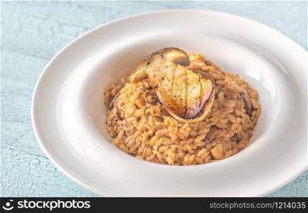 Risotto with porcini mushrooms close-up