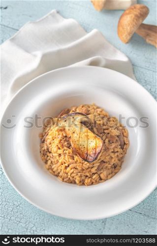 Risotto with porcini mushrooms flat lay