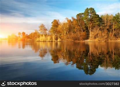 River and autumn forest. Nature composition. . River and autumn forest