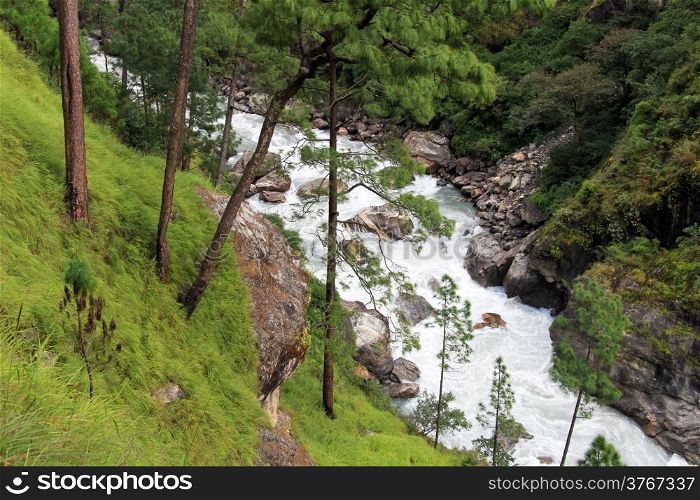 River and forest in mountain, Nepal