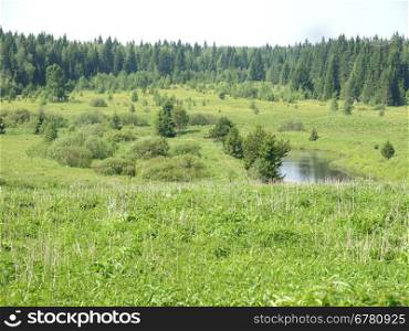 River and forest in summer. Russia