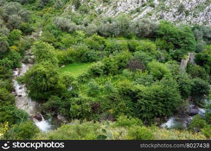 River and green bush near Old Bar in Montenegro