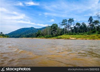 River and jungle landscape in Taman Negara national park, Malaysia. River and jungle in Taman Negara national park, Malaysia