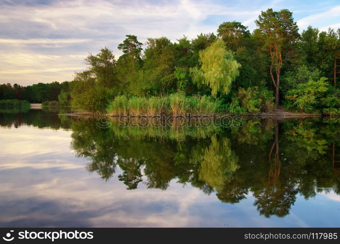 River and spring forest. Nature composition. . River and spring forest