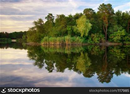 River and spring forest. Nature composition. . River and spring forest