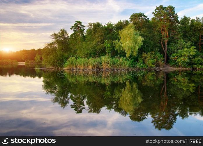 River and spring forest. Nature composition. . River and spring forest