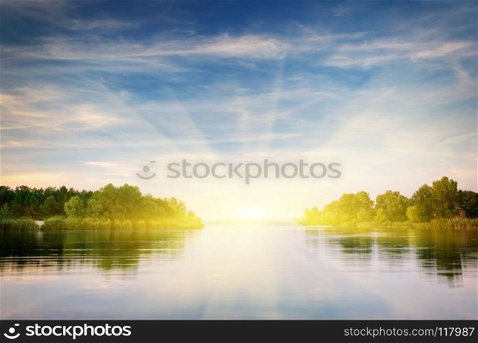 River and spring forest. Nature composition. . River and spring forest.