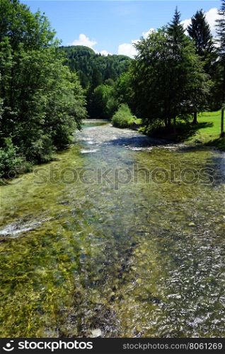 River and trees near Bohinj lake, Slovenia