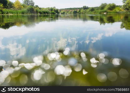 River bank in sunny summer day