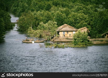 River bank in the Saigon River Delta, Vietnam