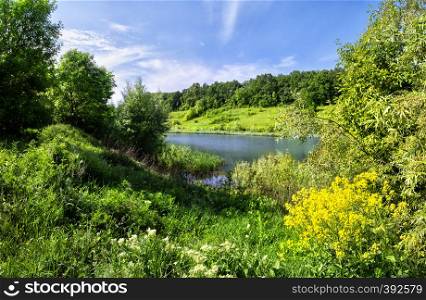 River bank with yellow flowers and a green grass. Summer landscape. The concept of nature and solitude.. River bank with yellow flowers and a green grass