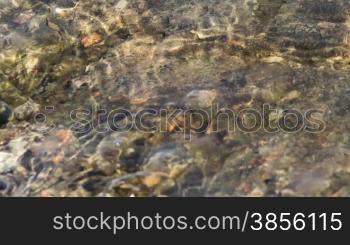 River Bottom Through Clear Water