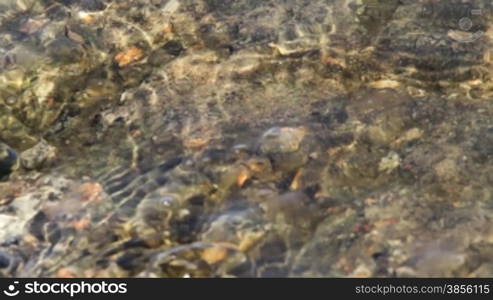 River Bottom Through Clear Water