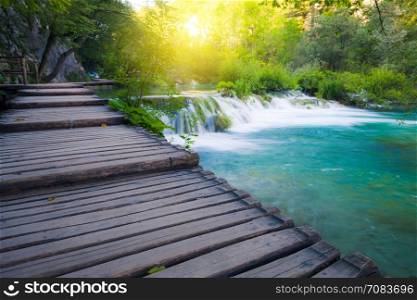River cascades and waterfall in beautiful summer green forest