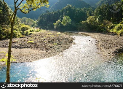 River come from forest with wide water surface.