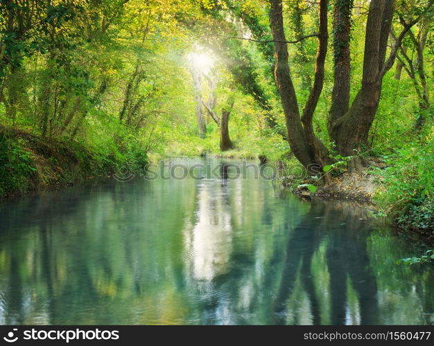 River deep in forest. Nature composition.