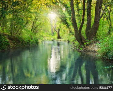 River deep in forest. Nature composition.