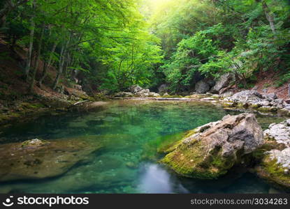 River deep in mountain forest. Nature composition. . River deep in mountain