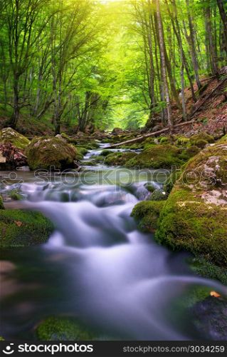 River deep in mountain forest. Nature composition. . River in mountain forest.