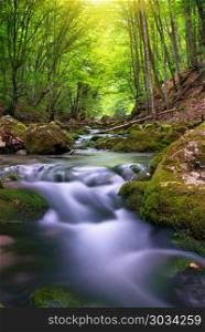 River deep in mountain forest. Nature composition. . River in mountain forest.