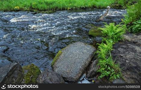 River flow in the green forest of Karelia
