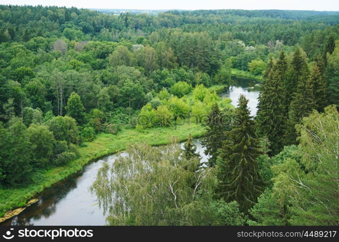 River flowing among green forests. summer landscape