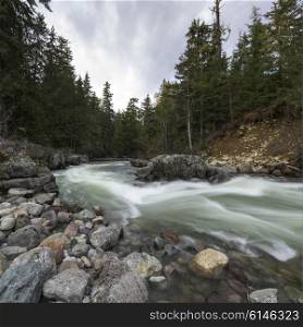 River flowing in a forest, Whistler, British Columbia, Canada