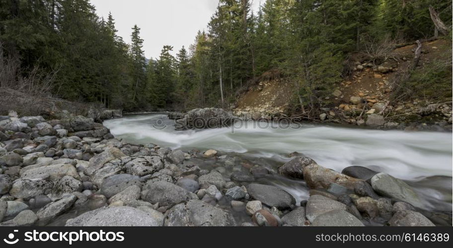 River flowing in a forest, Whistler, British Columbia, Canada