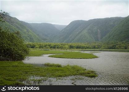 River flowing in a valley, Pololu Valley, Kohala, Big Island, Hawaii Islands, USA