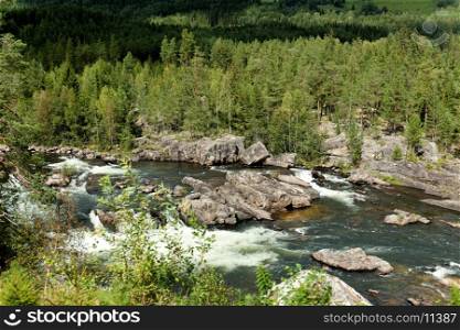 River flowing through a forest, Highlands, Norway